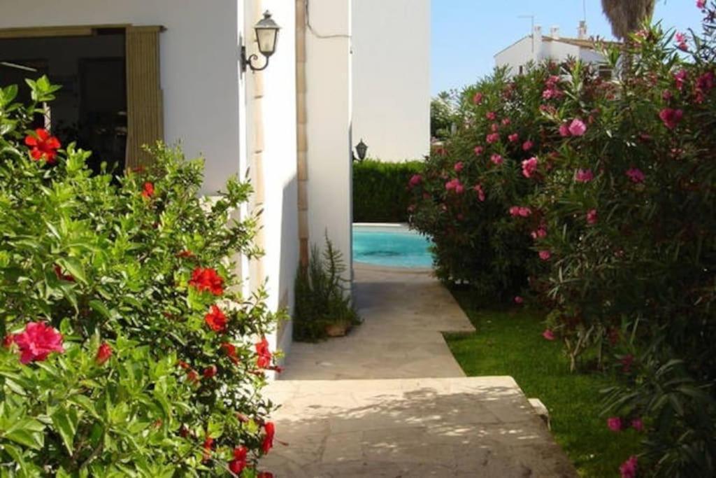 Rotonda Apartaments Felanitx Εξωτερικό φωτογραφία